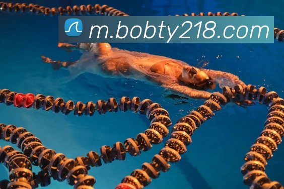 bob半岛官方网站品牌故事